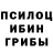 Псилоцибиновые грибы Psilocybine cubensis Polina Vey