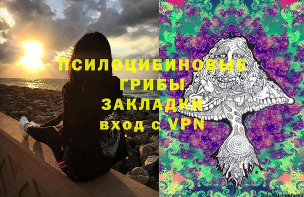 хмурый Алексин