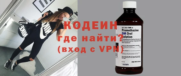 хмурый Алексин