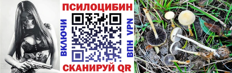 Псилоцибиновые грибы Psilocybe  что такое наркотик  Ишим 
